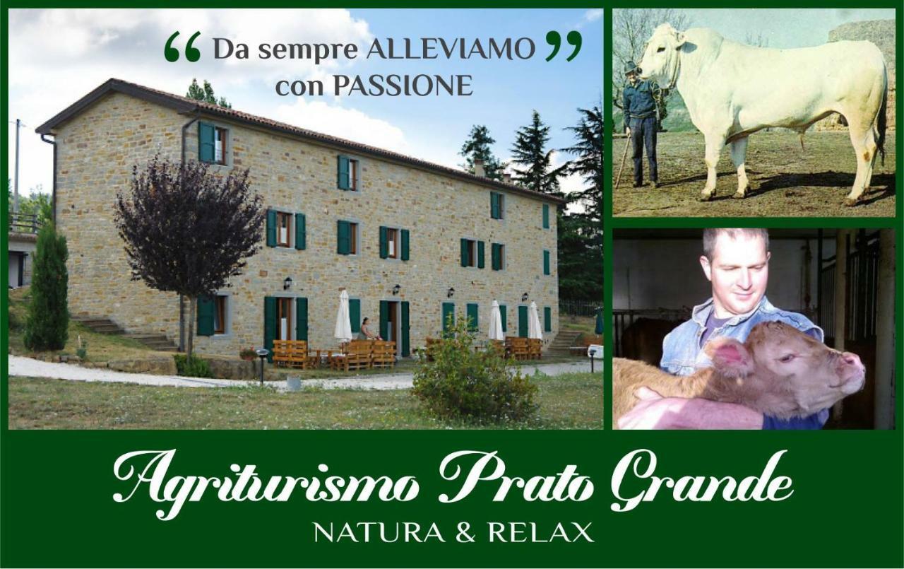 Agriturismo Prato Grande * Loiano