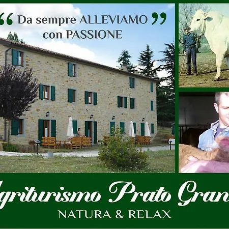 Agriturismo Prato Grande Loiano Exterior foto